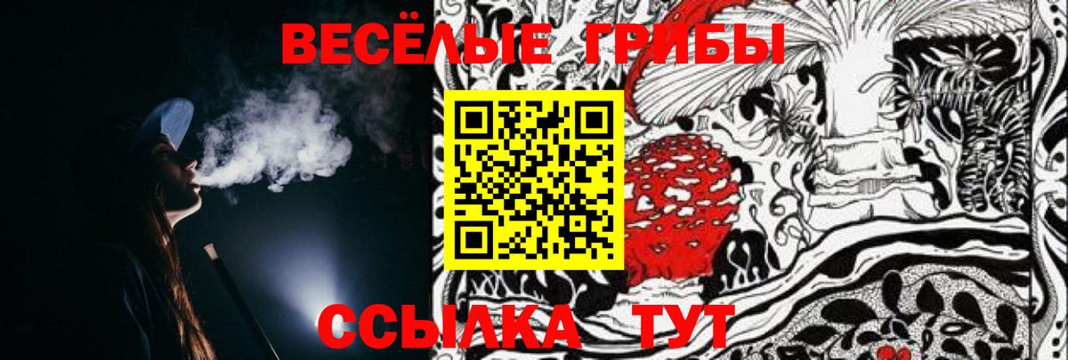 Псилоцибиновые грибы прущие грибы  Псилоцибиновые грибы мицелий  Вход с VPN  Алексин 
