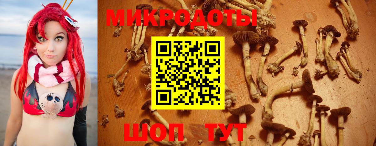 Псилоцибиновые грибы мицелий Алексин